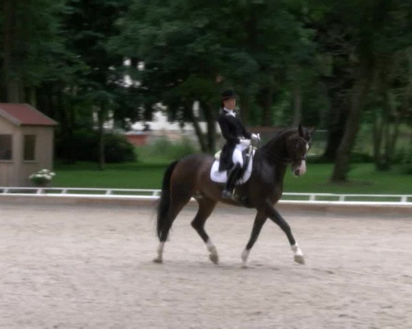 Reitturnier Redefin 2017