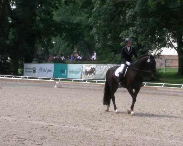 Reitturnier Redefin 2017