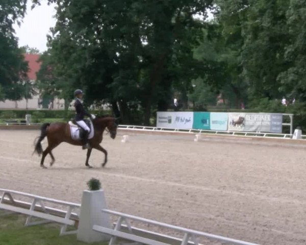 Reitturnier Redefin 2017