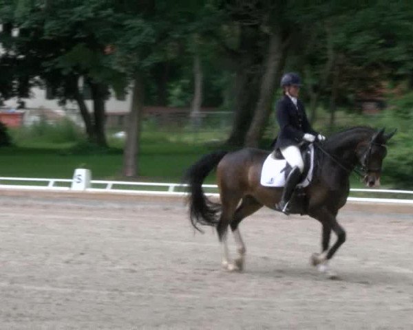 Reitturnier Redefin 2017