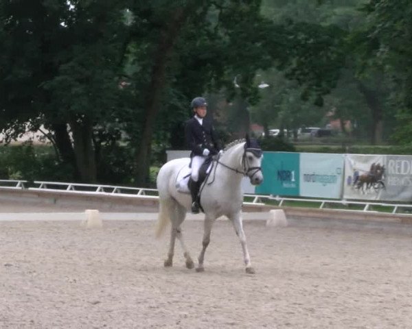 Reitturnier Redefin 2017