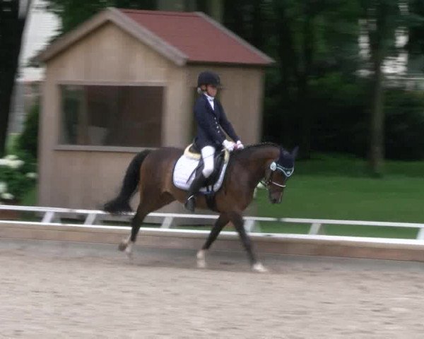 Reitturnier Redefin 2017