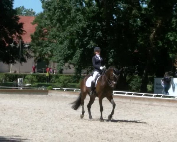 Reitturnier Redefin 2017
