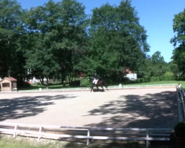 Reitturnier Redefin 2017