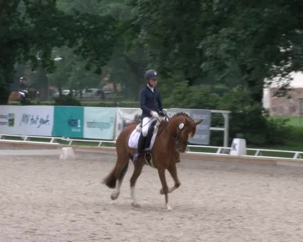 Reitturnier Redefin 2017