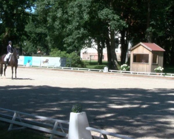 Reitturnier Redefin 2017