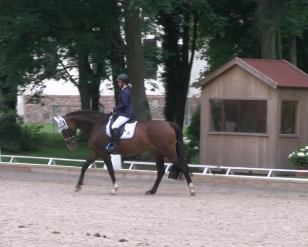 Reitturnier Redefin 2017
