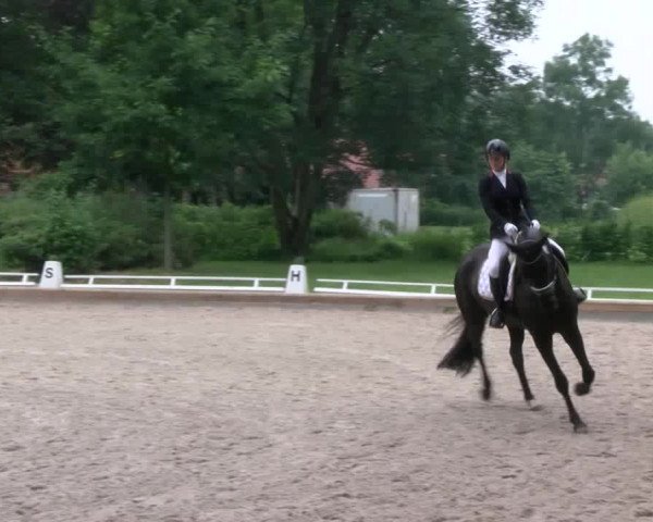 Reitturnier Redefin 2017