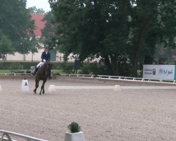 Reitturnier Redefin 2017