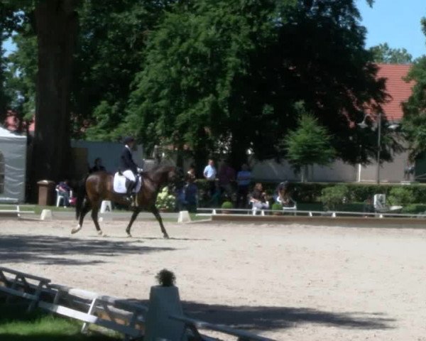 Reitturnier Redefin 2017