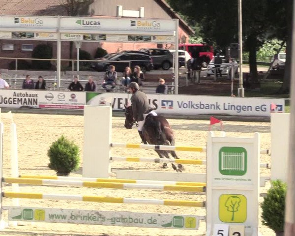 Euregioturnier Wietmarschen 2017