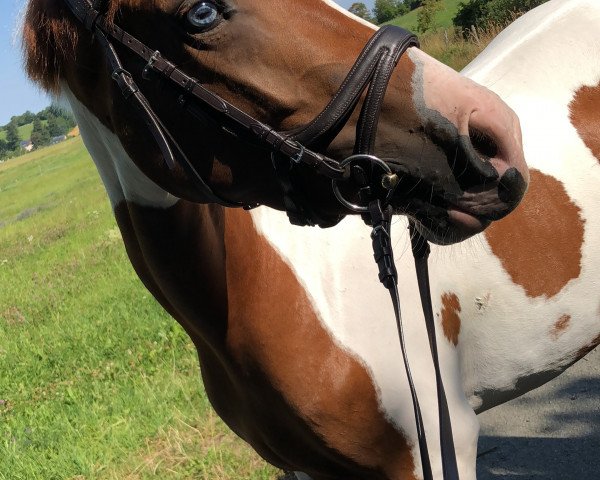 broodmare Rudolphitals Mona Lisa (Lewitzer, 2015, from Pythagoras)