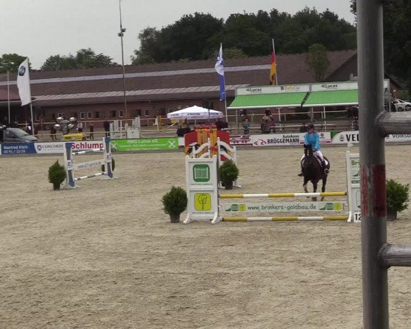 Euregioturnier Wietmarschen 2017