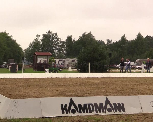 Euregioturnier Wietmarschen 2017