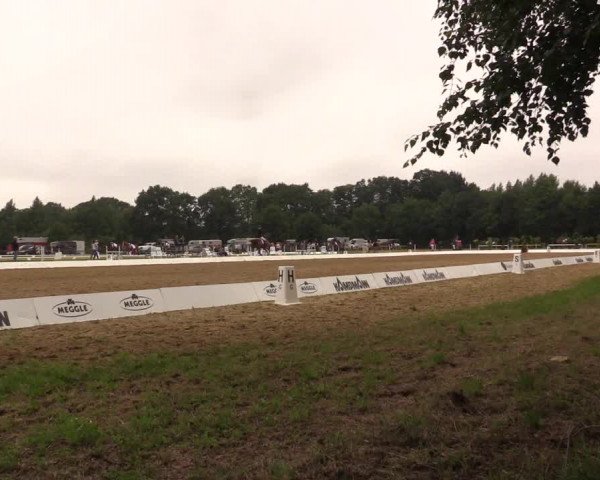Euregioturnier Wietmarschen 2017