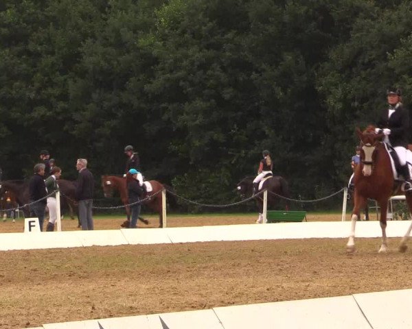 Euregioturnier Wietmarschen 2017