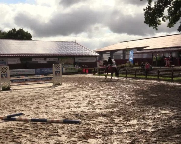 Reitturnier Marienheide - Kempershöher Reitertage 2017