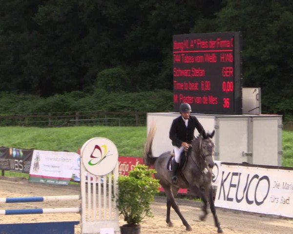 Reitturnier Hemer-Oese an der Edelburg 2017