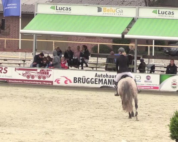 Euregioturnier Wietmarschen 2017