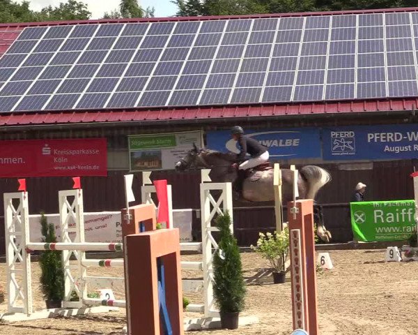 Reitturnier Marienheide - Kempershöher Reitertage 2017