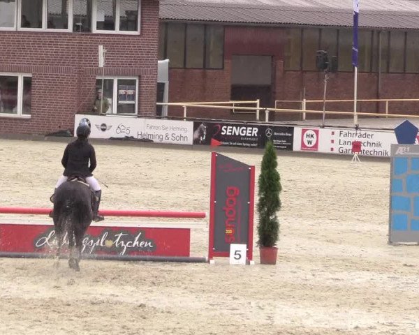 Euregioturnier Wietmarschen 2017