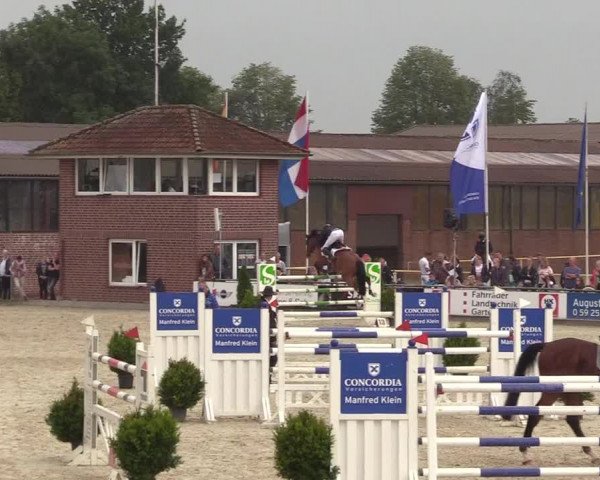 Euregioturnier Wietmarschen 2017