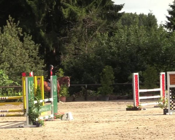 Reitturnier Marienheide - Kempershöher Reitertage 2017