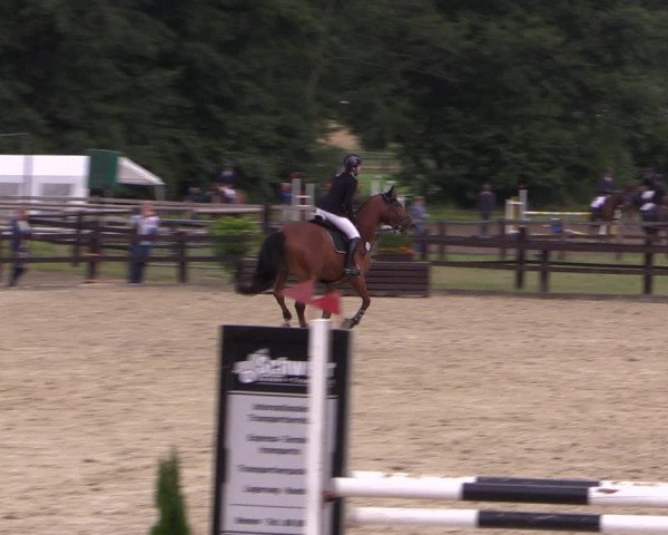 Reitturnier Hemer-Oese an der Edelburg 2017