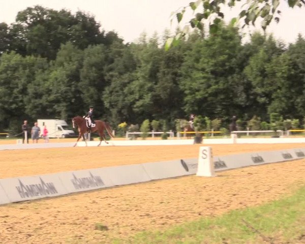 Euregioturnier Wietmarschen 2017