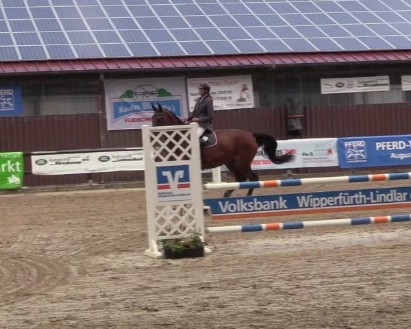 Reitturnier Marienheide - Kempershöher Reitertage 2017