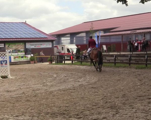 Reitturnier Marienheide - Kempershöher Reitertage 2017