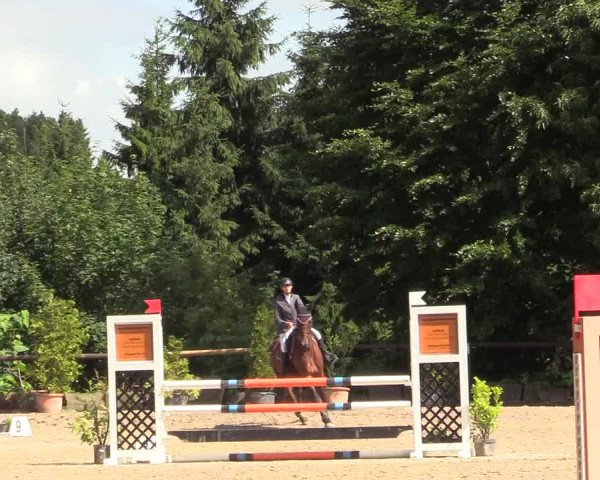 Reitturnier Marienheide - Kempershöher Reitertage 2017