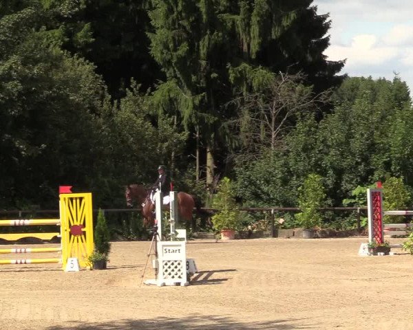 Reitturnier Marienheide - Kempershöher Reitertage 2017