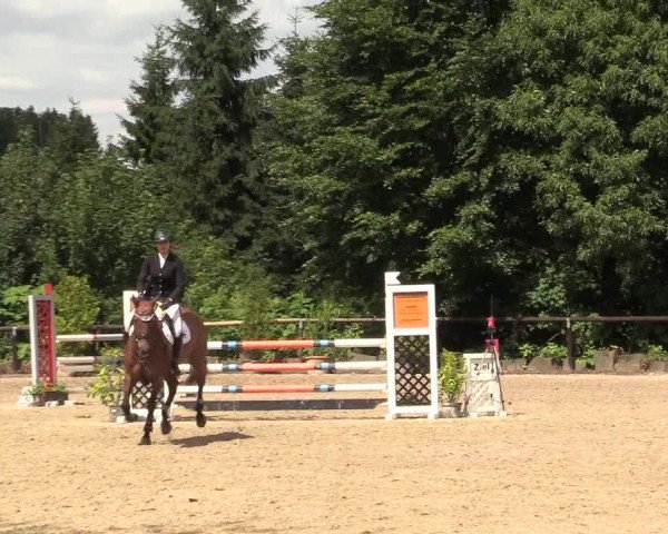 Reitturnier Marienheide - Kempershöher Reitertage 2017