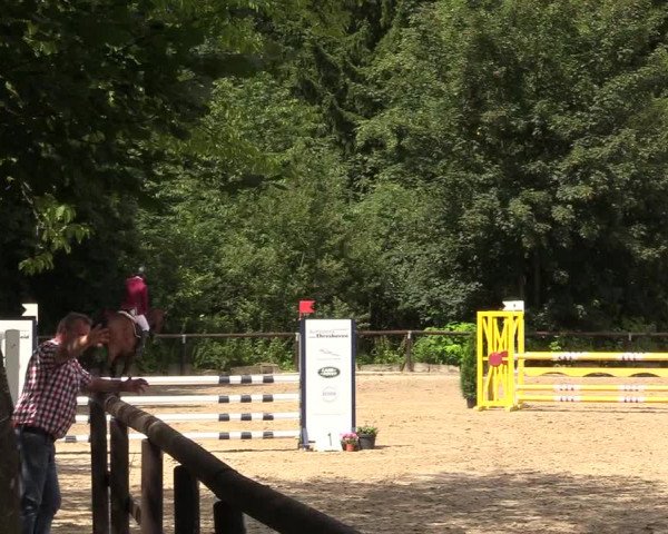 Reitturnier Marienheide - Kempershöher Reitertage 2017
