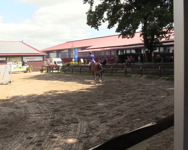 Reitturnier Marienheide - Kempershöher Reitertage 2017