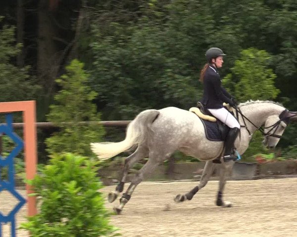 Reitturnier Marienheide - Kempershöher Reitertage 2017