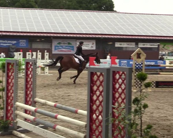 Reitturnier Marienheide - Kempershöher Reitertage 2017