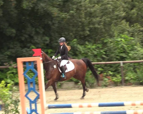 Reitturnier Marienheide - Kempershöher Reitertage 2017