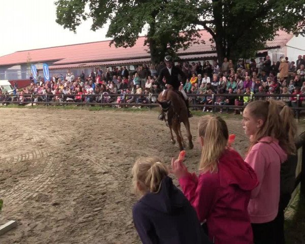 Reitturnier Marienheide - Kempershöher Reitertage 2017
