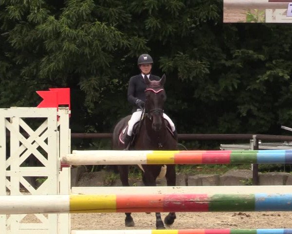 Reitturnier Marienheide - Kempershöher Reitertage 2017