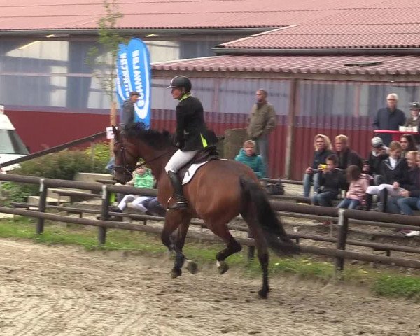 Reitturnier Marienheide - Kempershöher Reitertage 2017