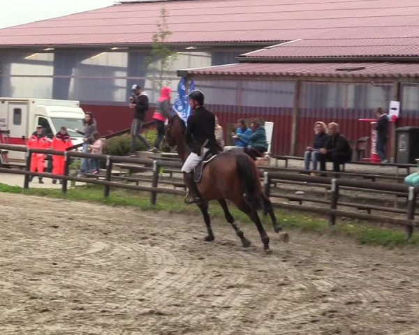 Reitturnier Marienheide - Kempershöher Reitertage 2017