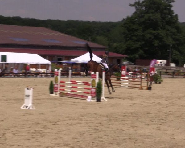 Reitturnier Hemer-Oese an der Edelburg 2017