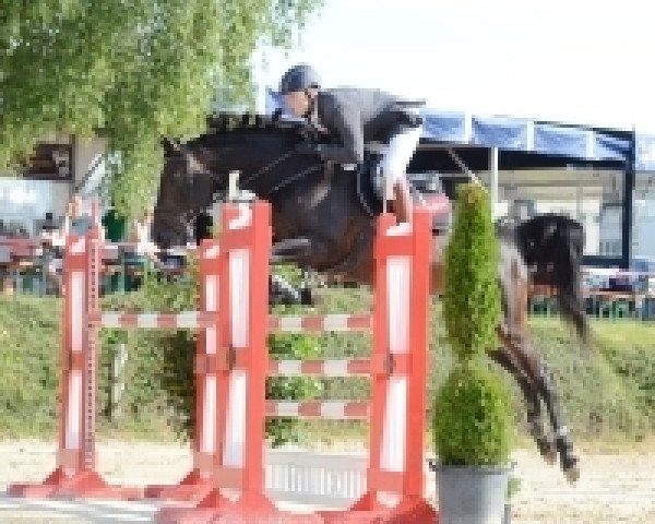 jumper Cerafina (Rhinelander, 2012, from Captain Jack 44)
