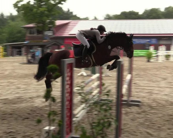 Reitturnier Marienheide - Kempershöher Reitertage 2017