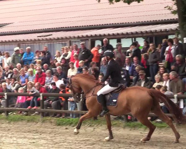 Reitturnier Marienheide - Kempershöher Reitertage 2017