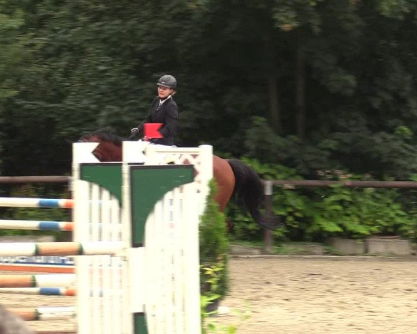 Reitturnier Marienheide - Kempershöher Reitertage 2017