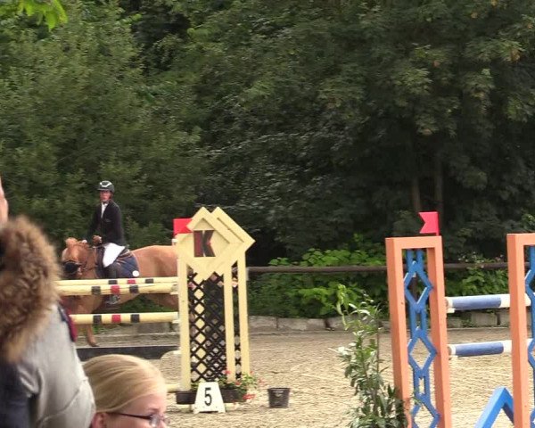 Reitturnier Marienheide - Kempershöher Reitertage 2017