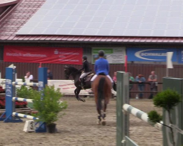 Reitturnier Marienheide - Kempershöher Reitertage 2017